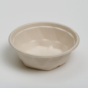 600ml Takeaway Bowl
