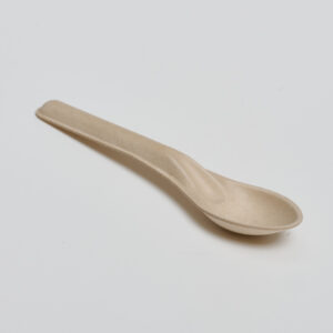 Spoon