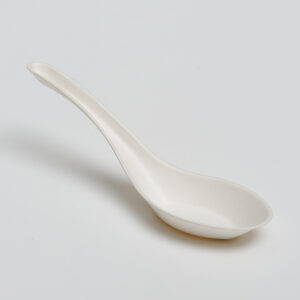 Asian Soup Spoon
