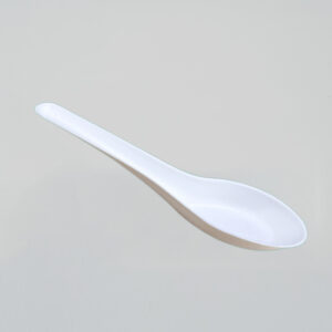 Chinese Tasting Spoon